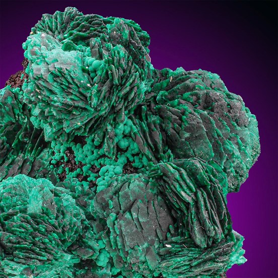 Malachite-Seabra | Bahia | Brazil